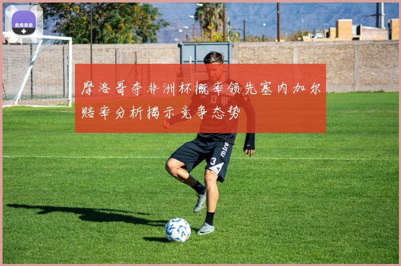 摩洛哥夺非洲杯概率领先塞内加尔赔率分析揭示竞争态势