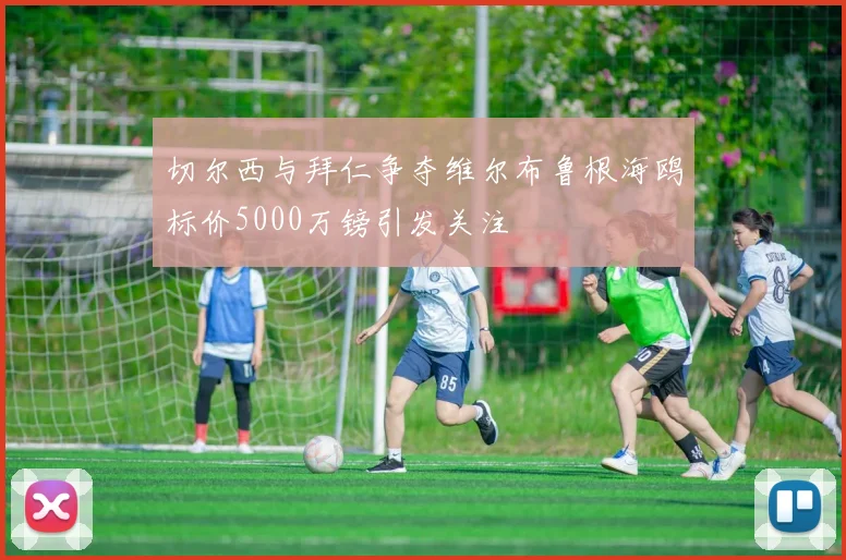 切尔西与拜仁争夺维尔布鲁根海鸥标价5000万镑引发关注
